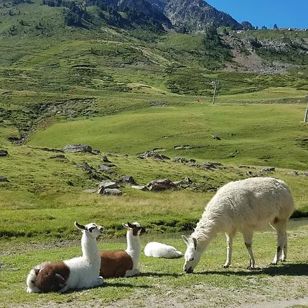 Echappee En Altitude דירה *