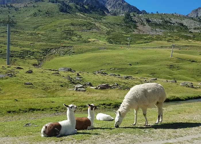 Echappee En Altitude شقة *