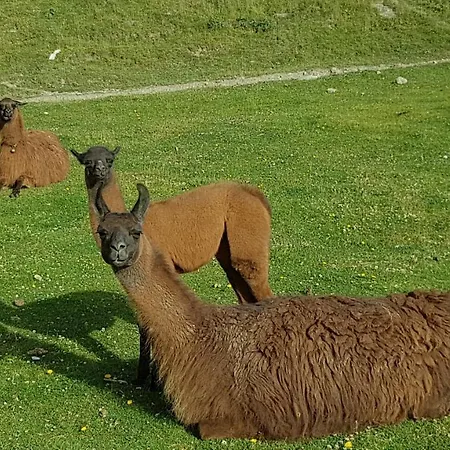 Echappee En Altitude