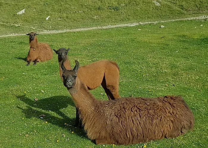 Echappee En Altitude